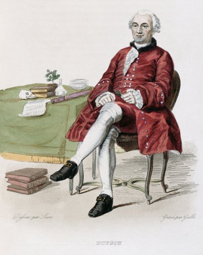 Monsieur de Buffon (1707-88) illustrazione da 